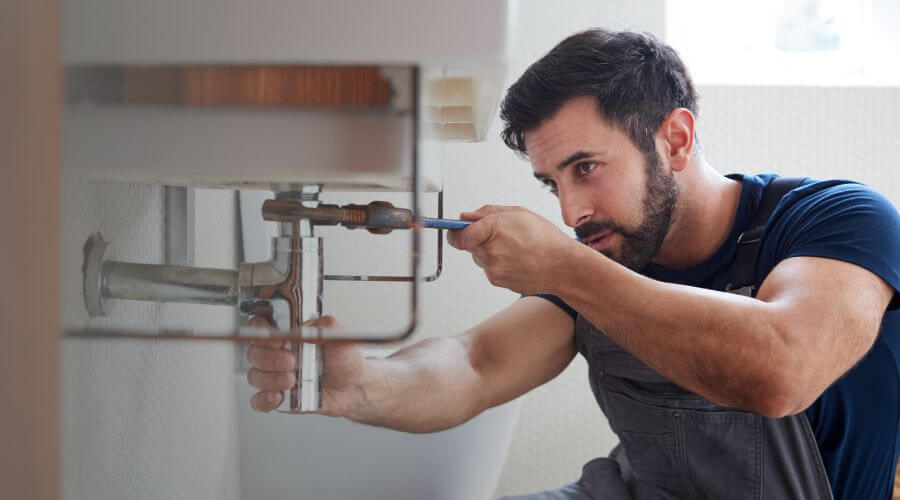Trap Repair/Replacement in Gill, MA
